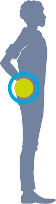 PC Icon_LowerBack