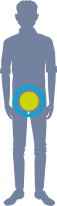 PC Icon_Pelvic